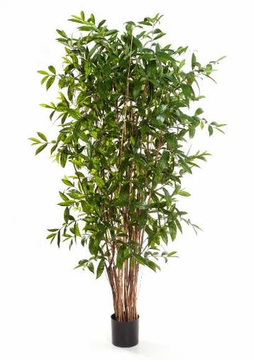 Kunstplant Dracaena Surculosa 150 cm, Huis en Inrichting, Kamerplanten, Verzenden