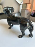 Figuur - Bassotto in bronzo - Brons