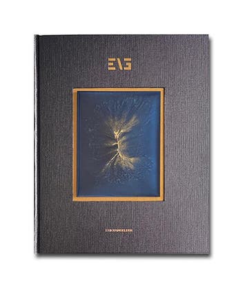 Masterly | Erik Gelder | Nieuw, Verzenden, Erik Gelder