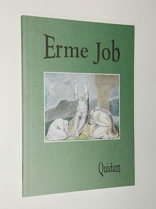Erme Job 9789080743830 Quidam, Livres, Livres Autre, Envoi