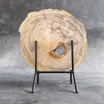 Magnifique tranche de bois pétrifié sur un socle