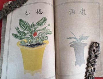 Antiek Japans botanisch album “Omoto Zufu”() – kleurige