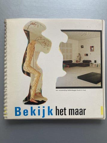 Bekyk het maar 9789062895489 Mariette Niermeyer, Verzenden, Gelezen, Mariette Niermeyer