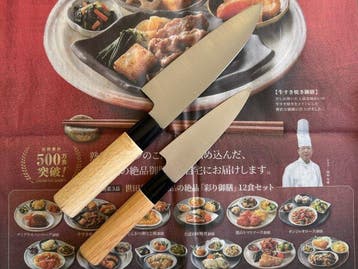 Satake (original) SWORD SMITH - Keukenmes - Deba bch -