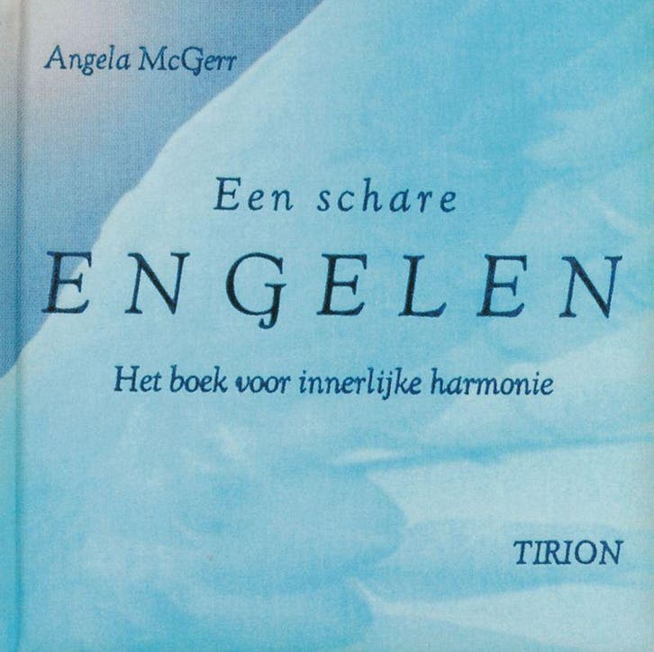 Een schare engelen 9789043904308 Angela MacGerr, Boeken, Esoterie en Spiritualiteit, Gelezen, Verzenden