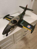 Schildkröt - Pop - 1970-1980