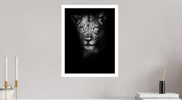 Jeffrey Van Daele - Lioness