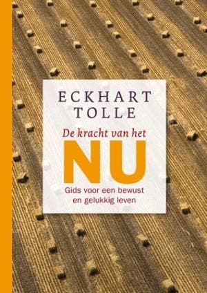 De kracht van het nu 9789020210392 Eckhart Tolle, Boeken, Verzenden, Zo goed als nieuw, Eckhart Tolle