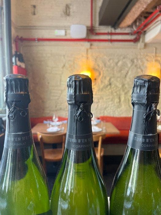 2008 Recaredo, Turó den Mota - Penedes, Corpinnat Brut, Verzamelen, Wijnen