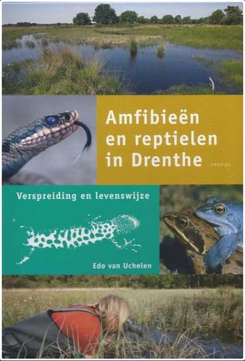 Amfibieen En Reptielen In Drenthe 9789052944845, Verzenden, Zo goed als nieuw, E. van Uchelen
