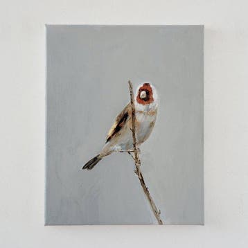 Matthieu van Riel - Distelvink
