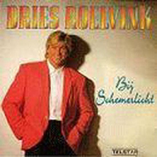 Bij schemerlicht 8712705019851, CD & DVD, CD | Autres CD, Envoi