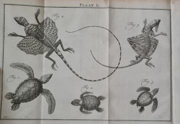 [Martinus Houttuyn]/Linnaeus - Natuurlyke Historie, Of