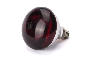 Warmtelamp | Warm Rood | 0.25kW | Ø125x170(h)mm HENDI, Verzenden