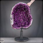 Majestueuze amethystendruze uit Bolivia – 52 kg natuurkunst, Collections, Minéraux & Fossiles