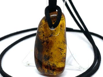 Bosgloed: Transparante honingkleurige Baltische amber