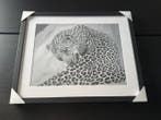 Fabio Accorrà - The big Leopard, Antiek en Kunst