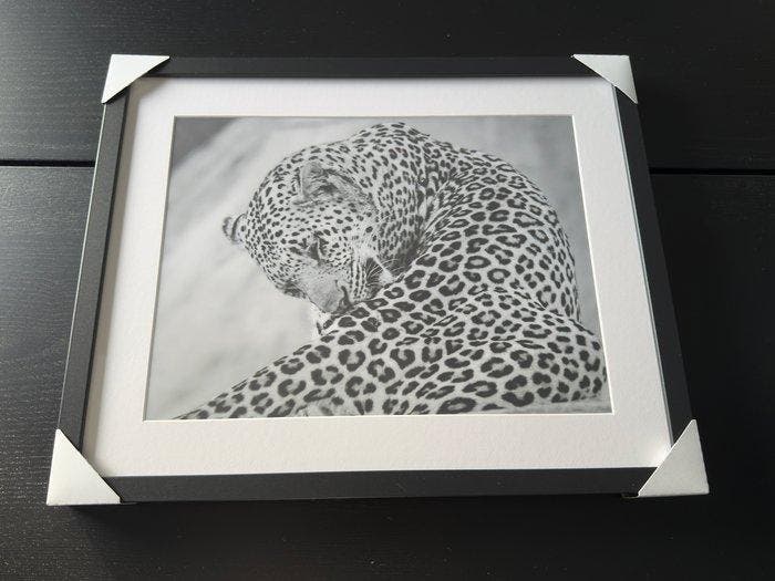Fabio Accorrà - The big Leopard, Antiek en Kunst, Kunst | Designobjecten
