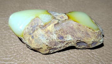 Baltic Amber- Haute qualité AAA Sans réserve- 19.64 g
