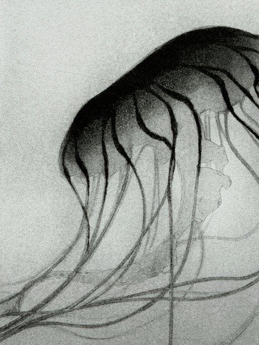 Blooming - SOLD OUT BY ARTIST - Riko Maeshiro  (b, Antiquités & Art, Antiquités | Autres Antiquités