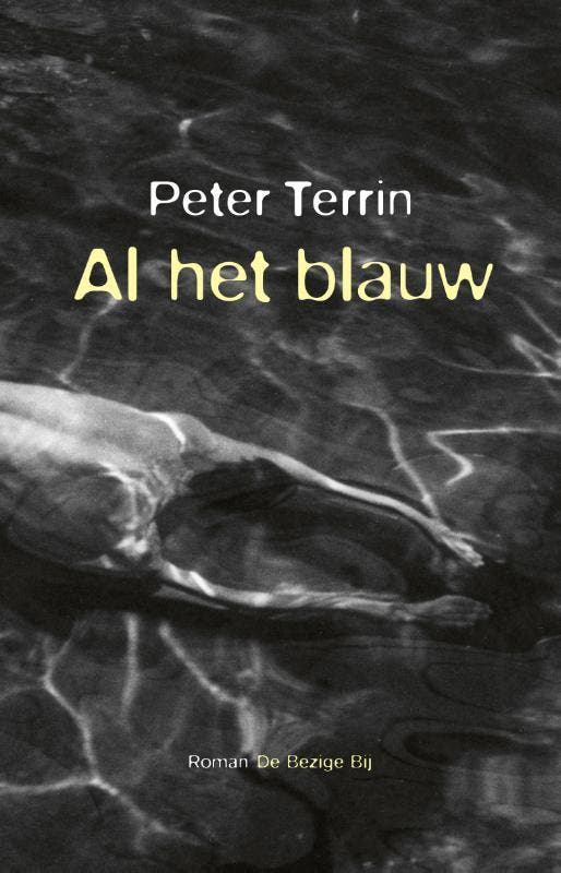 Al het blauw 9789403122717 Peter Terrin, Boeken, Romans, Gelezen, Verzenden