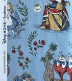 Disney Home x Sanderson -Nieuwe set van twee - Kussen