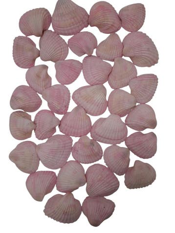 Chippy Big Pastel schelpen Pink washed 1 kilo, Nieuw