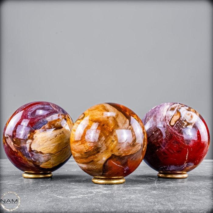 Exclusieve set van versteend hout uit Madagaskar – Tijdloze, Verzamelen, Mineralen en Fossielen