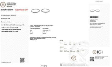 Oorbellen - 18 karaat Witgoud - 4.01ct. tw. Diamant