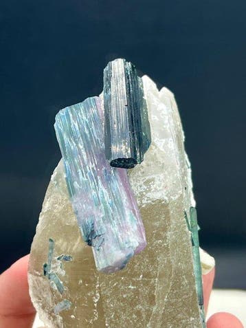 La tourmaline se combine avec le quartz. Spécimen - Hauteur