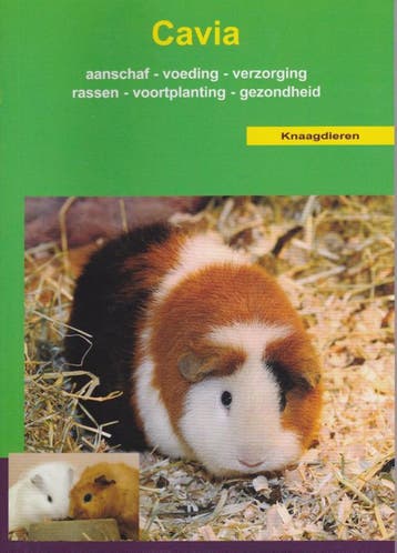 De cavia / Over Dieren 9789058210098, Verzenden, Zo goed als nieuw