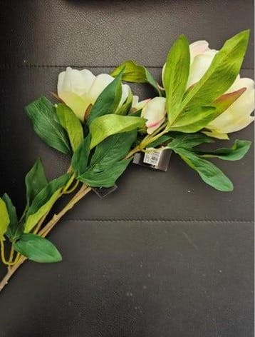 Pioenroos CremeRoze Zijden, Huis en Inrichting, Woonaccessoires | Kunstplanten en Kunstbloemen, Nieuw
