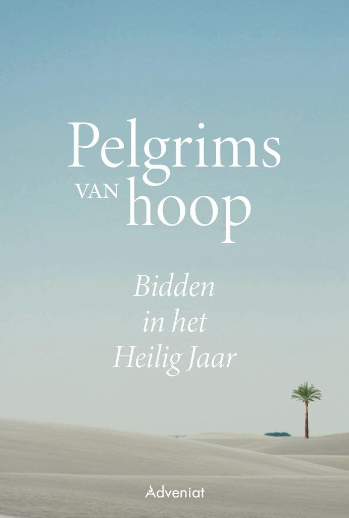 Pelgrims van hoop 9789493395022, Boeken, Godsdienst en Theologie, Gelezen, Verzenden