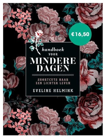 Handboek voor mindere dagen 9789021584454 Eveline Helmink, Verzenden, Eveline Helmink