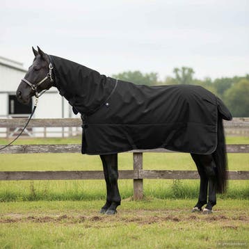 vidaXL Paardendeken Volledig zwart 155 cm Polyester, Dieren en Toebehoren, Verzenden, Nieuw