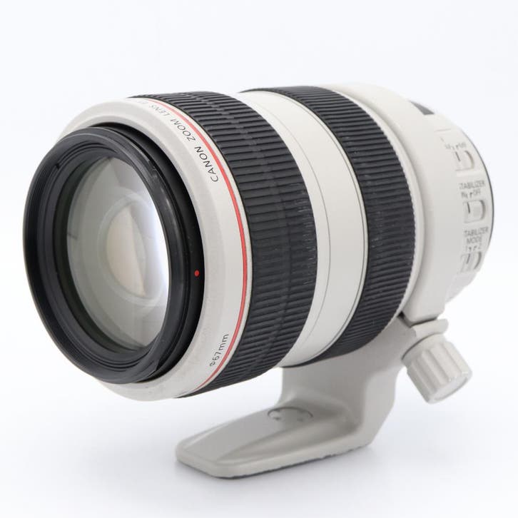 Canon EF 70-300mm F/4-5.6 L IS USM | Tweedehands, Audio, Tv en Foto, Foto | Lenzen en Objectieven, Zo goed als nieuw, Verzenden