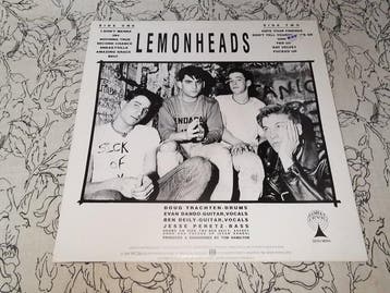 The Lemonheads - Hate Your Friends - 1st UK pressing - Album
