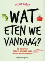 Wat eten we vandaag? 9789048307272 Sylvia Gabet, Verzenden, Zo goed als nieuw, Sylvia Gabet