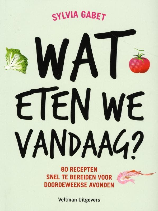 Wat eten we vandaag? 9789048307272 Sylvia Gabet, Boeken, Kookboeken, Zo goed als nieuw, Verzenden