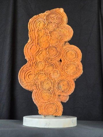 Gefossiliseerd dier - Huge stromatolite on Handcraft Carrara