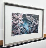Viet Ha Tran - Sakura season II (Framed)