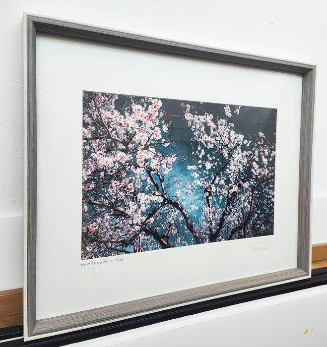 Viet Ha Tran - Sakura season II (Framed), Antiquités & Art, Art | Objets design