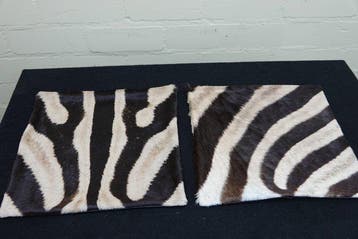real zebra skin covers - Kussen (2)