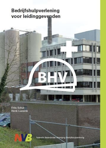Bedrijfshulpverlening voor leidinggevenden 9789490100285, Boeken, Verzenden, Zo goed als nieuw, Henk Luesink