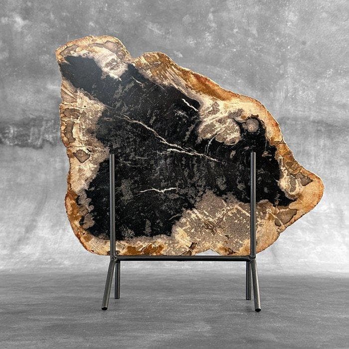 C - Prachtige plak versteend hout op een op maat gemaakte, Antiek en Kunst, Kunst | Designobjecten