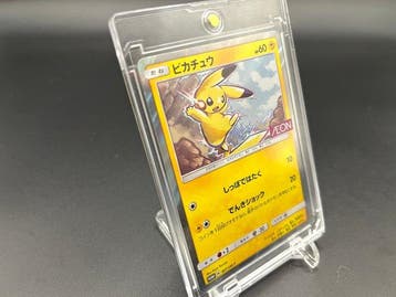 Pokémon - 1 Card - Pikachu 307/SM-P Carte promo, Foil - Sun