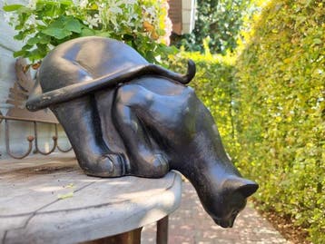 Figurine - Curious cat - Résine