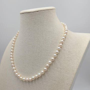 Sans prix de réserve - Collier Argent Perle - Akoya 7,0 mm