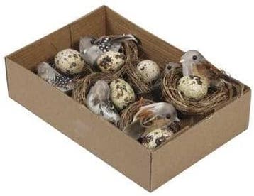 Vogelnestjes met 1 vogel en 3 eitjes 7 cm doos 6 stuks
