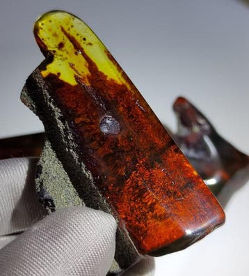 Mexicaanse amber Chiapas!! AAA- 75 g
